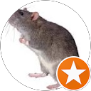 Martin R. profile picture